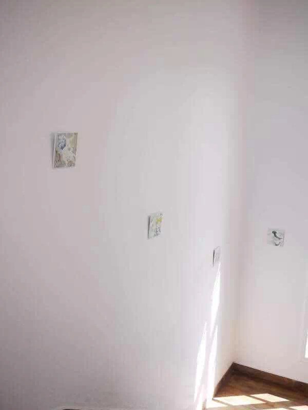 珍稀奇講師 白明參加“沖破屋頂”當代藝術(shù)展