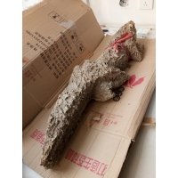 原生態奇石，神似鱷魚，千年難遇。