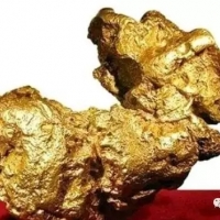 黃金部隊的隱秘傳奇：你不知道的狗頭金